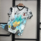 MAILLOT JAPON 2024/25 CONCEPT