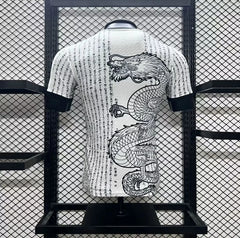 MAILLOT JAPON 2024/25 CONCEPT