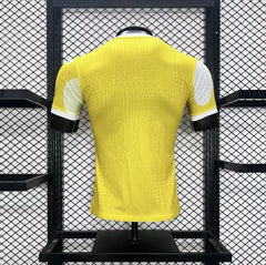 MAILLOT BRESIL 2024/25 CONCEPT