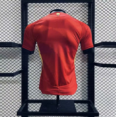 MAILLOT ESPAGNE 2024/25 EURO DOMICILE