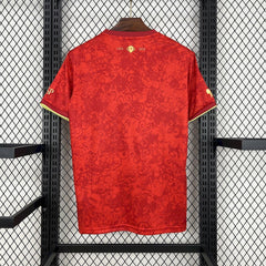MAILLOT ESPAGNE 2024/25 CONCEPT