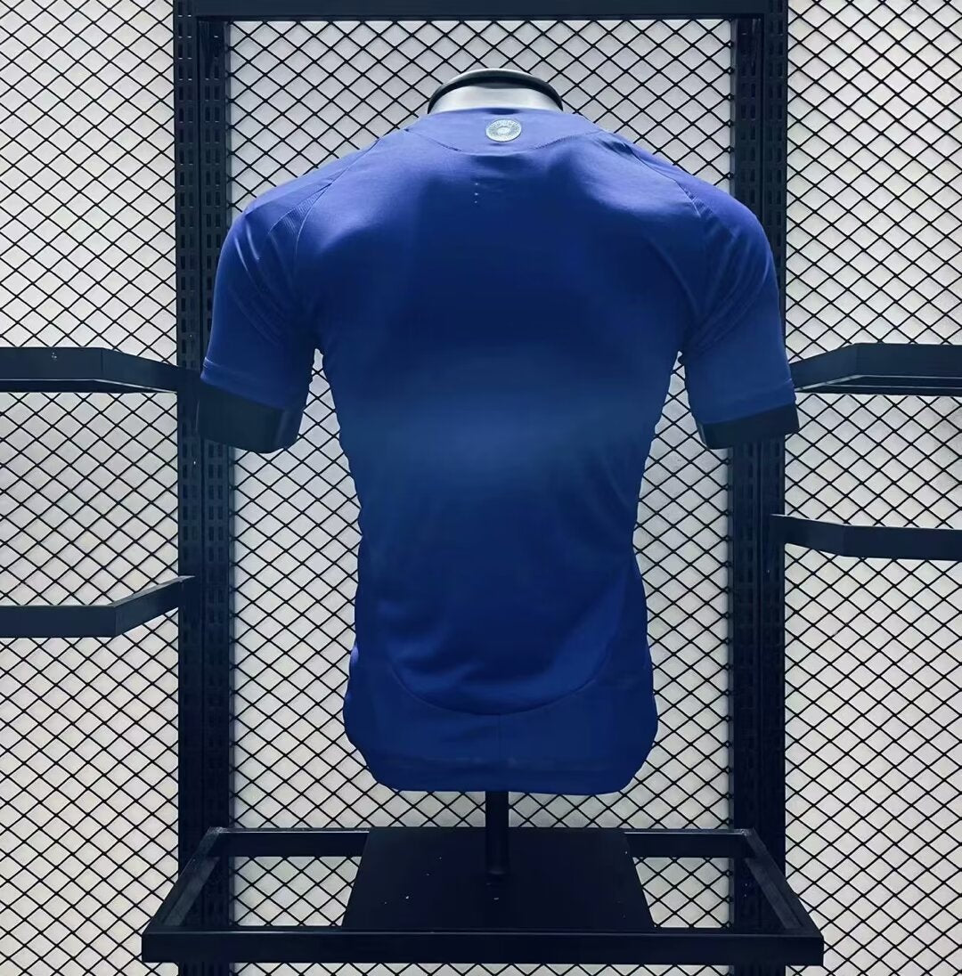 MAILLOT ARGENTINE 2024/25 EXTERIEUR