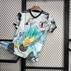 MAILLOT JAPON 2024/25 CONCEPT