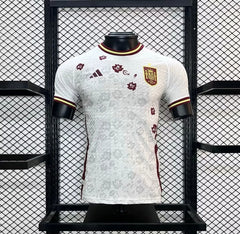MAILLOT ESPAGNE 2024/25 CONCEPT
