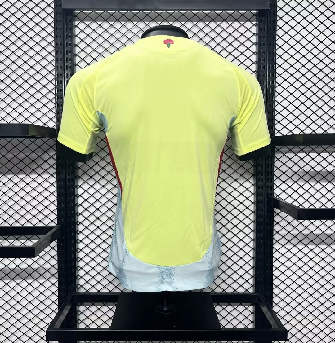 MAILLOT ESPAGNE 2024/25 EURO EXTERIEUR