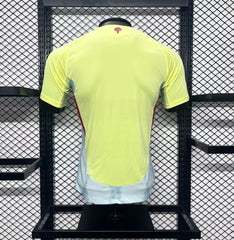 MAILLOT ESPAGNE 2024/25 EURO EXTERIEUR
