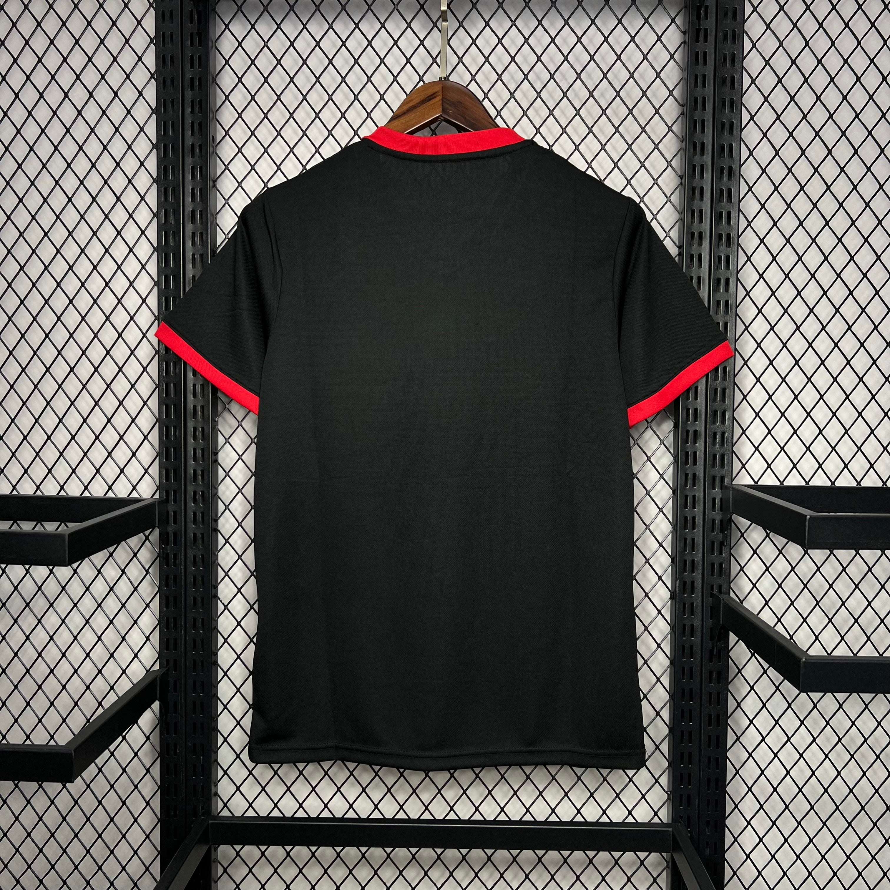 MAILLOT JAPON 2024/25 CONCEPT