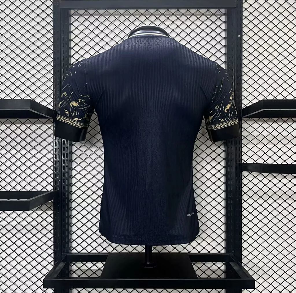 MAILLOT BRESIL 2024/25 CONCEPT