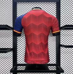 MAILLOT ESPAGNE 2024/25 CONCEPT