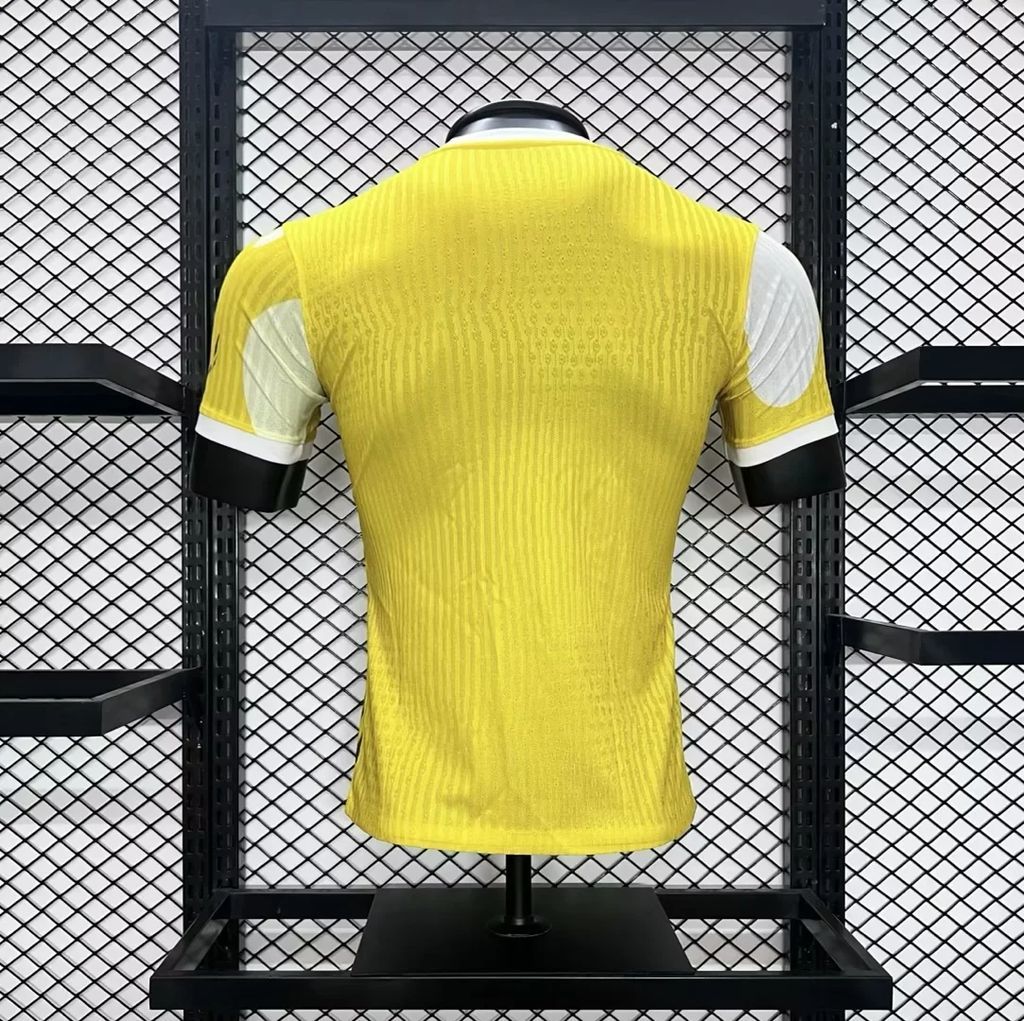 MAILLOT BRESIL 2024/25 CONCEPT