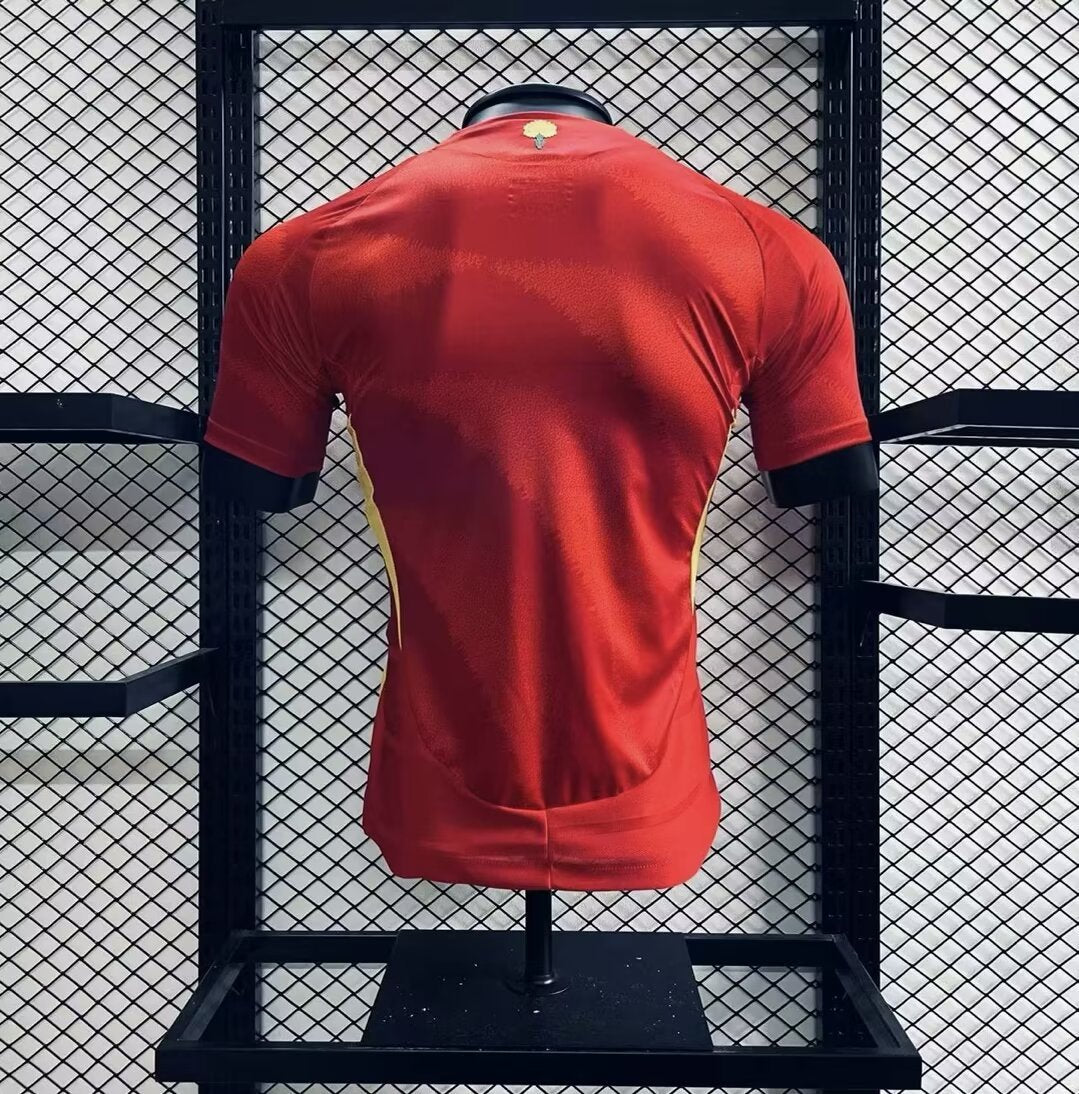 MAILLOT ESPAGNE 2024/25 EURO DOMICILE