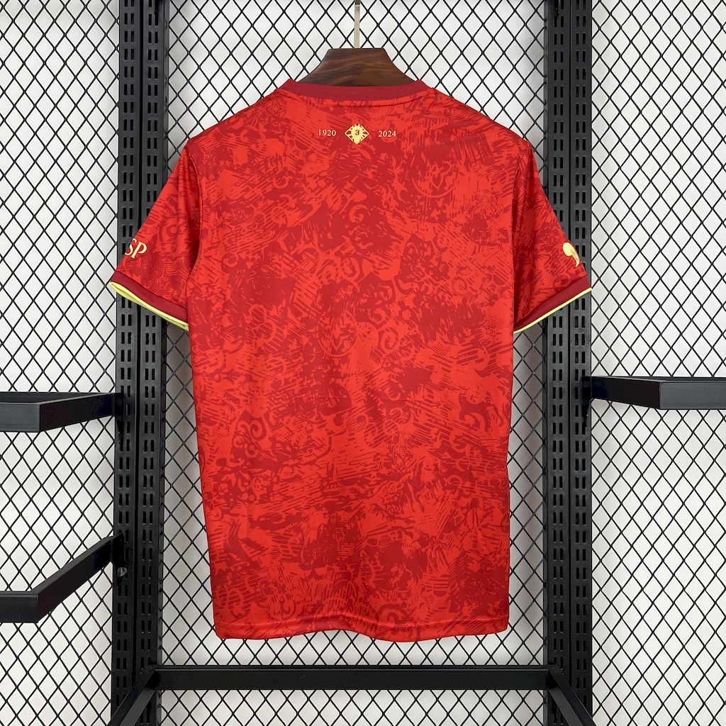 MAILLOT ESPAGNE 2024/25 CONCEPT